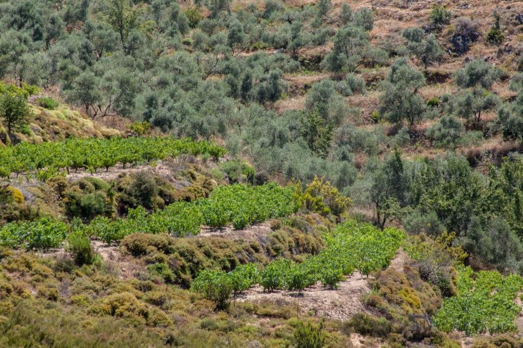 Leilighet Sea & Town Getaway Khania